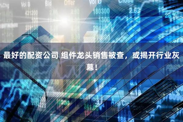 最好的配资公司 组件龙头销售被查，或揭开行业灰幕！